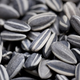Illustration for article titled The Tate Modern's New Art Installation: 100 Million Hand-Painted Sunflower Seeds